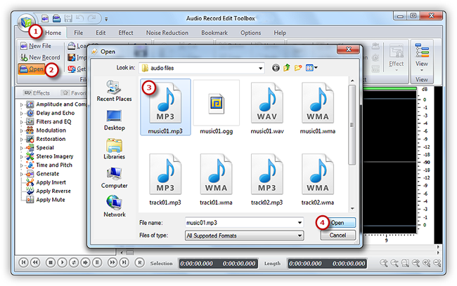 Input an Audio File